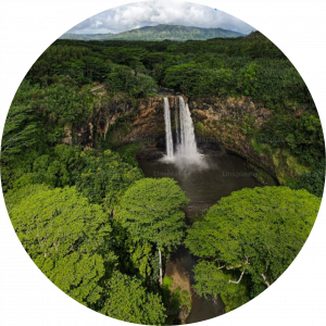 naturaleza@4x Naturaleza